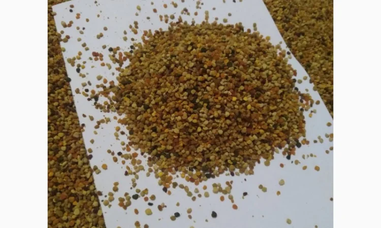 Продается цветочный пчелиный pollen - фото № 1