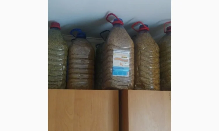 Продается цветочный пчелиный pollen - фото № 4