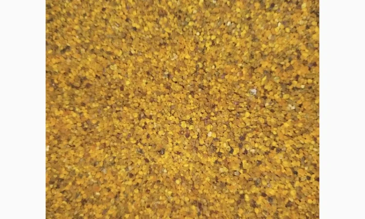 Пропонується натуральний пилок, 300 кг - фото № 2