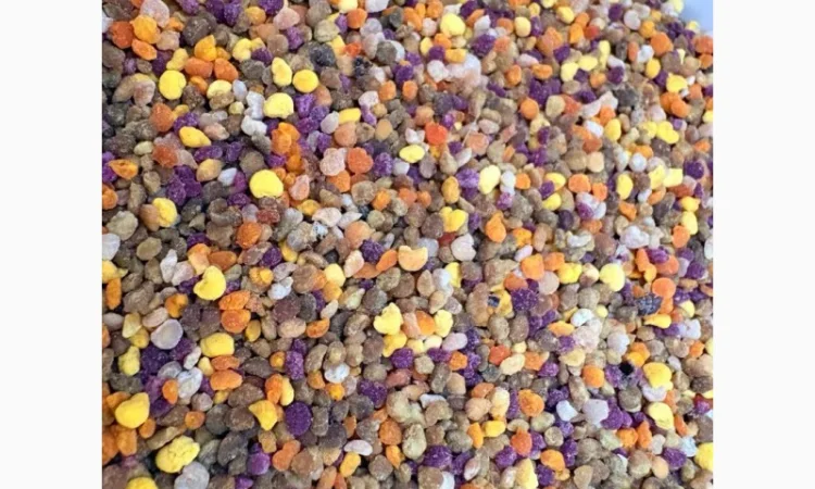 Продается пыльца бджолиної обніжки - фото № 1