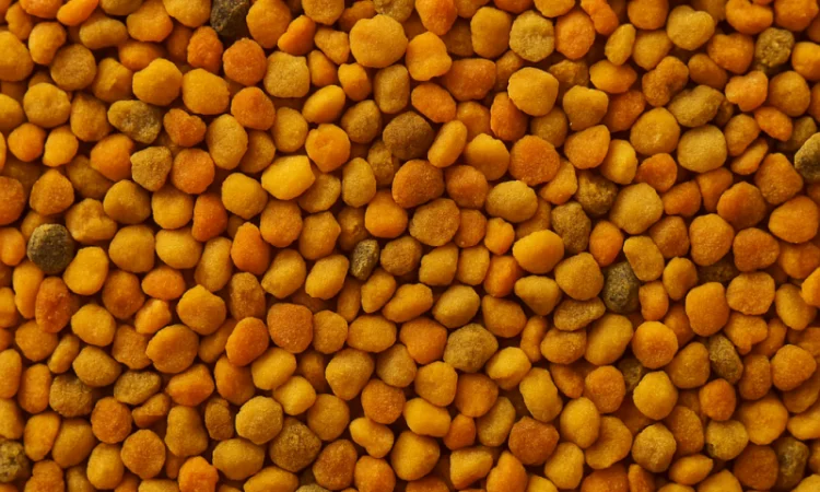 Продается пчелиный пилок 2025 года сбора - фото № 1