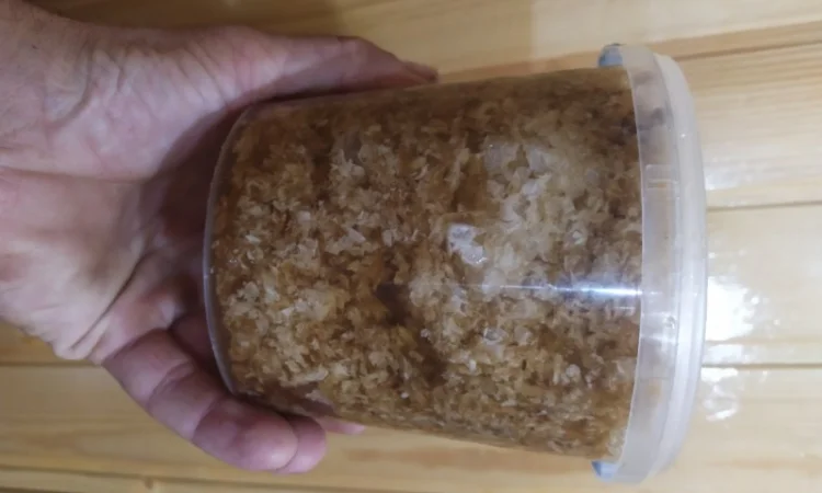 Забрусный мед высокого качества - фото № 2