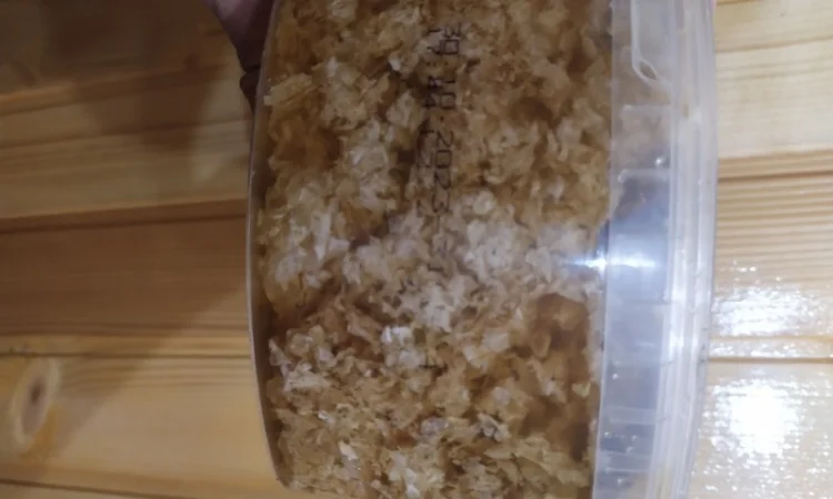 Забрусный мед высокого качества - фото № 3