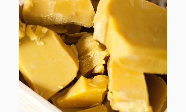 Куплю пчелиный воск - фото № 1