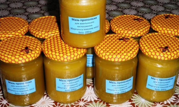 Прополисная мазь для лечения кожных заболеваний - фото № 1