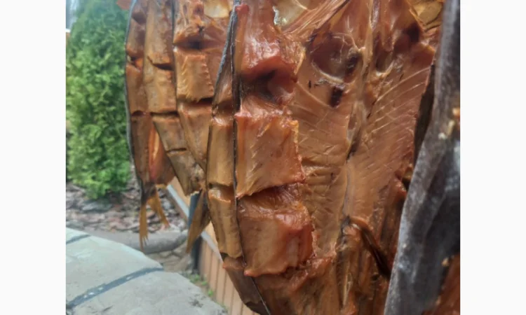 Товстолоб холодного копчения - фото № 1