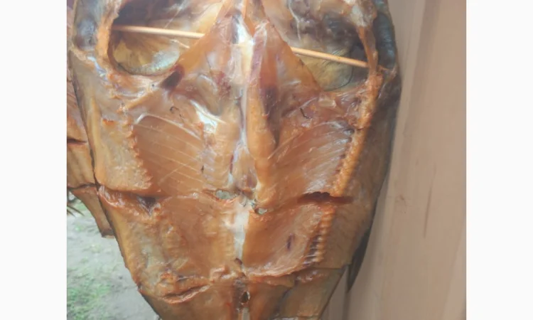 Товстолоб холодного копчения - фото № 4