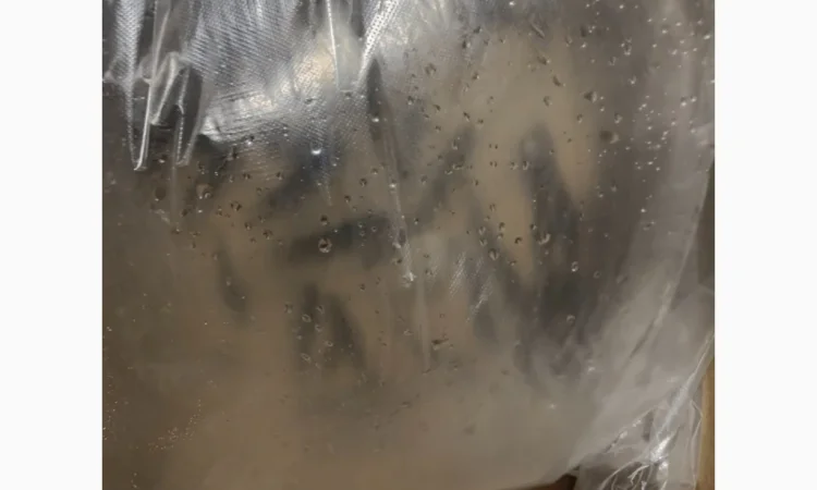 Американский окунь для рыбалки - фото № 2