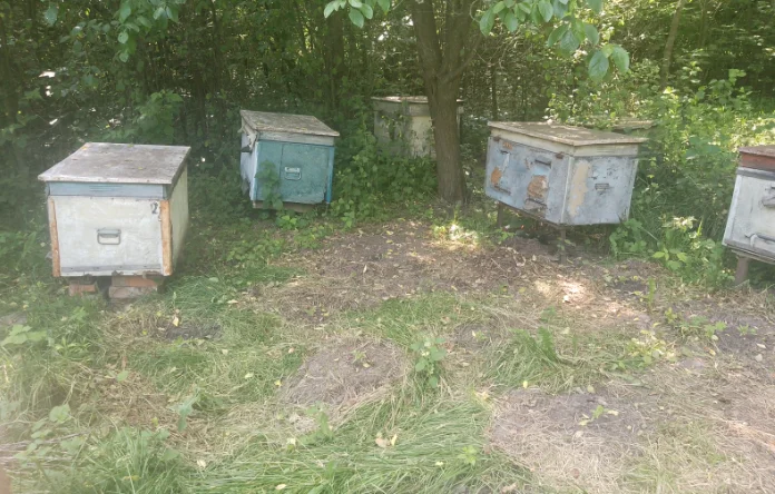 Ульї для бджіл б/у, 4 штуки у продажу - фото № 1