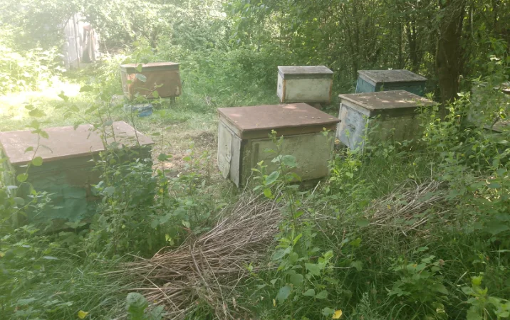 Ульї для бджіл б/у, 4 штуки у продажу - фото № 2