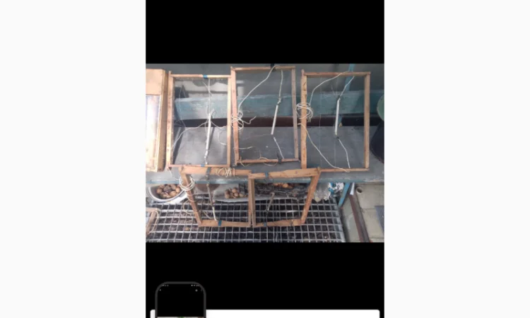 Ульї для бджіл б/у, 4 штуки у продажу - фото № 6