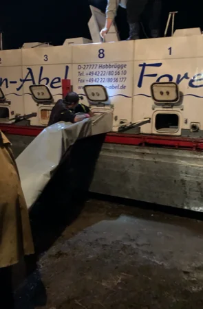 Зарибок коропа в Луцке - фото № 3