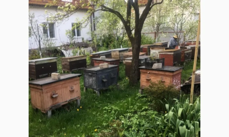 Продается оборудование для пасеки б/у - фото № 1