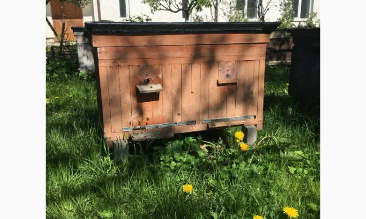 Продается оборудование для пасеки б/у - фото № 2