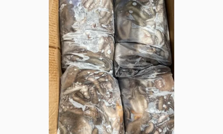 Ремонт та модернізація гідравлічних систем для суден – Миколаїв - фото № 17