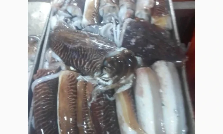 Mauritania fishing coast - фото № 14