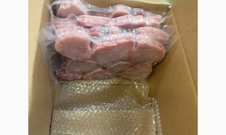 Mauritania fishing coast - фото № 18