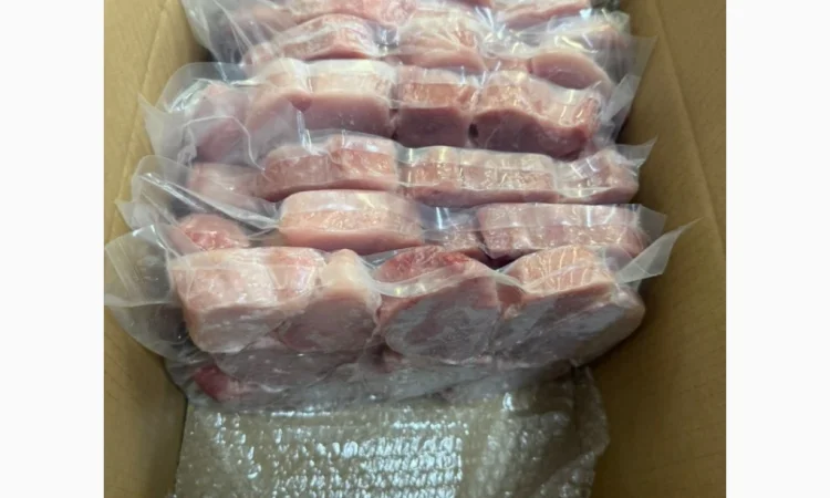 Mauritania fishing coast - фото № 19