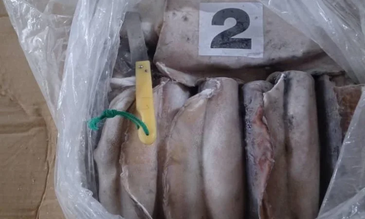 Оптовий постачальник морепродуктів з Мавританії, порт Нуадаїбу - фото № 1