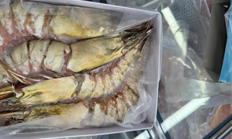 Оптовий постачальник морепродуктів з Мавританії, порт Нуадаїбу - фото № 9