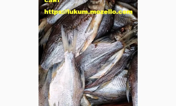 Сушеная рыба разных видов - фото № 3