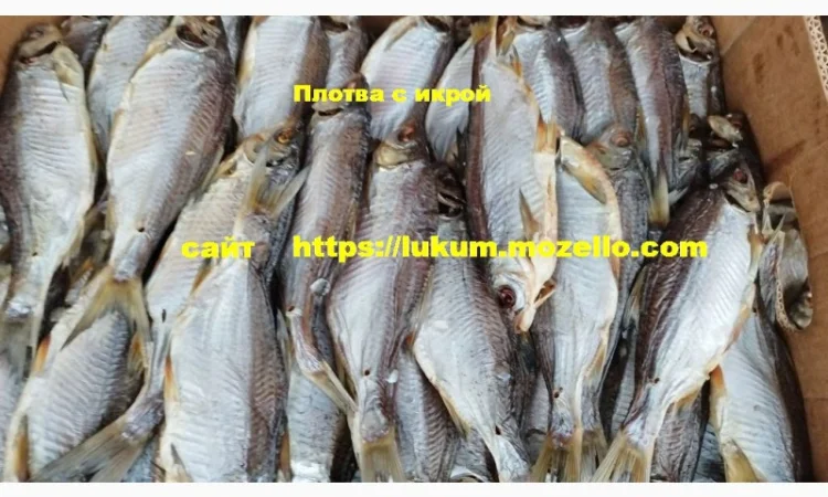 Сушеная рыба разных видов - фото № 5