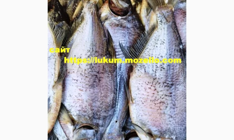 Сушеная рыба разных видов - фото № 7