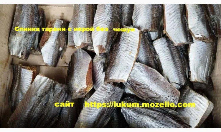 Сушеная рыба разных видов - фото № 8