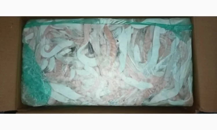 Продажа замороженных брюшек сёмги - фото № 1