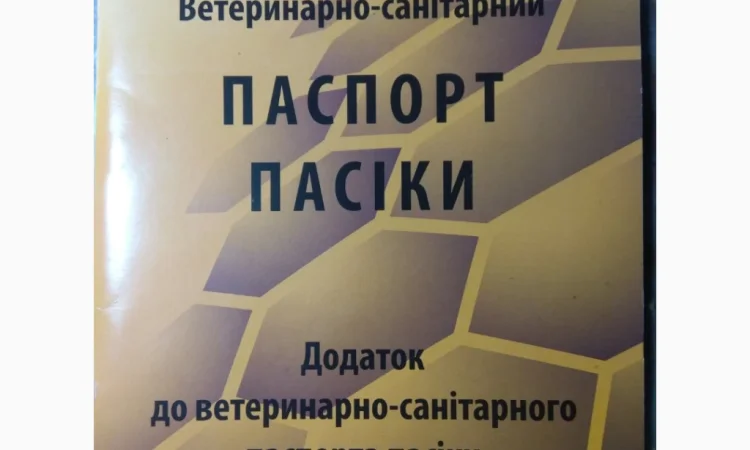 Продаж бджолопакетів Карніка - фото № 4