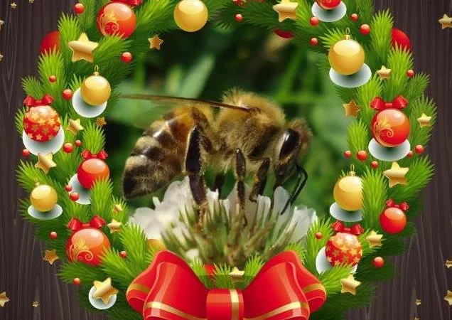 Продаються бджолопакети в Чернівцях - фото № 3