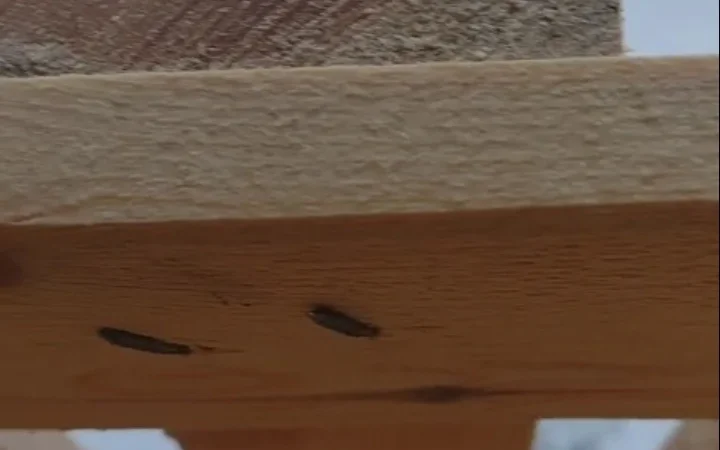 Поддон деревянный сосна усиленный 1200*1000*140 - фото № 2