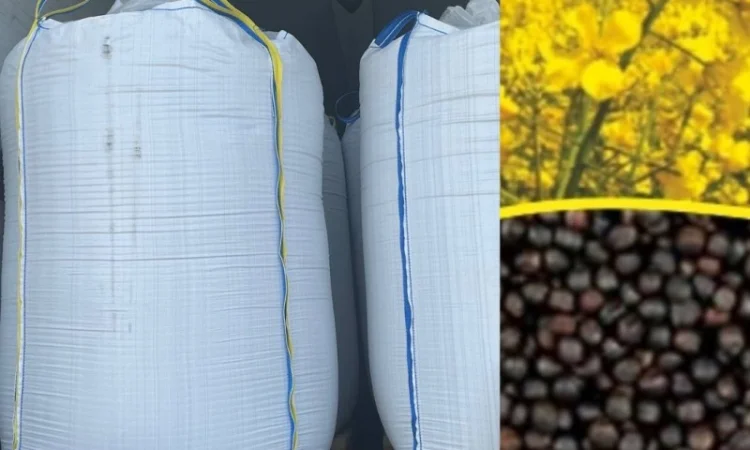 Біг бег мішок тара - фото № 4