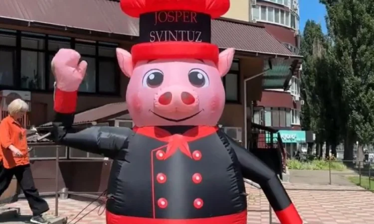 Человек машет на дороге - фото № 16