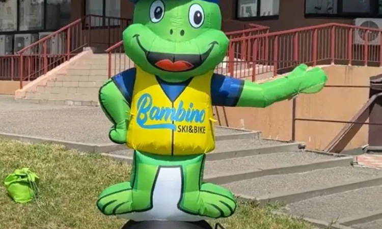 Надувні фігури для зовнішньої реклами – 3D копії товарів - фото № 6