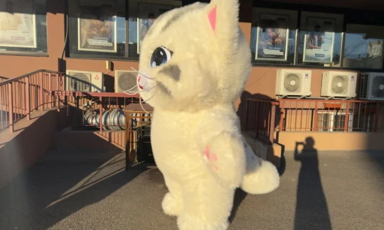 Надувний костюм аніматору Кіт, 4 години роботи, 2.4 м, 60 Вт - фото № 6