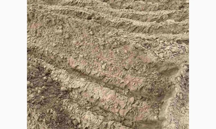 Грунт для подсыпки и выравнивания, доставка по Киеву - фото № 3