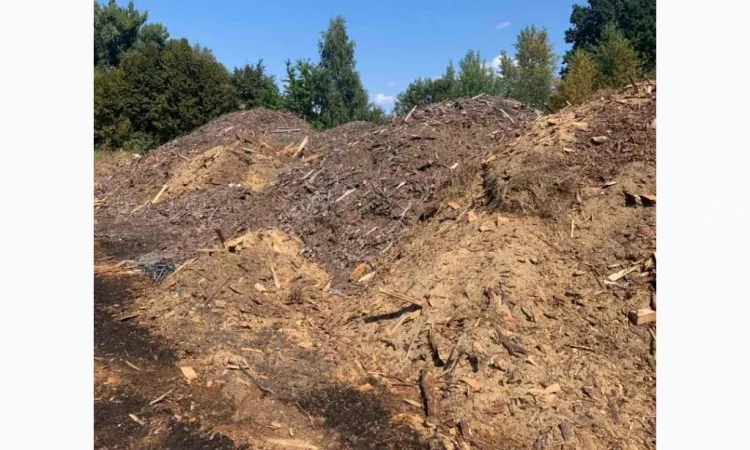 Удобрення для лохини - соснові відходи - фото № 1