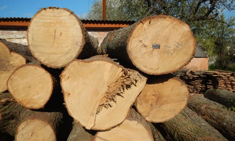 Продажа доски из липы разных размеров - фото № 3