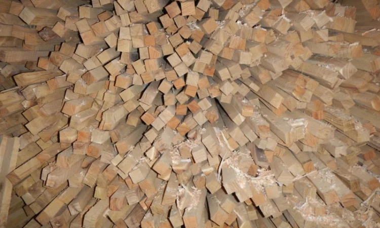 Продаются колышки из акации для садоводства - фото № 2