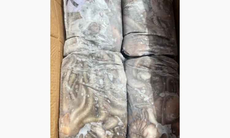 Свежий осьминог для продажи - фото № 17