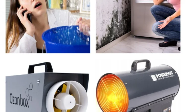 Осушение помещений после затопления и ремонта - фото № 2