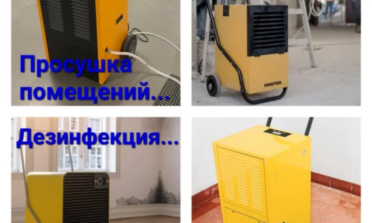 Осушение помещений после затопления и ремонта - фото № 3