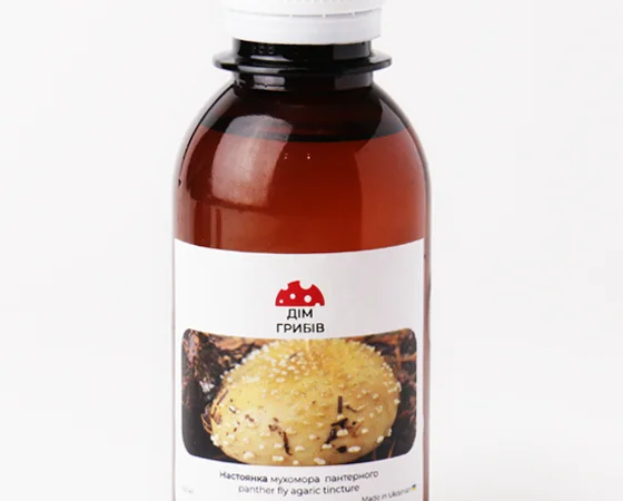 Настоянка чаги для лікування шкірних захворювань - фото № 3