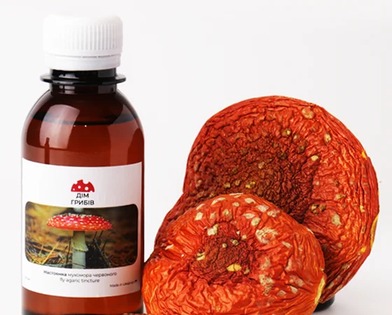 Настоянка червоного мухомора для лікування суглобів - фото № 1