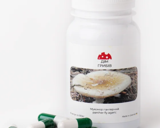 Микродозинг пантерного мухомора - фото № 1