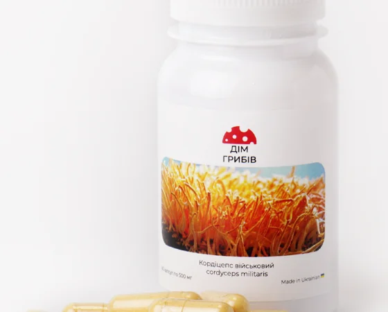 Микродозинг пантерного мухомора - фото № 4