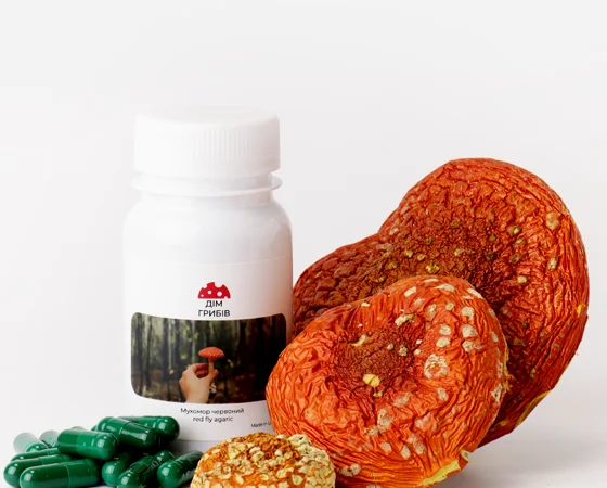 Микродозинг мухомора в Харькове - фото № 1