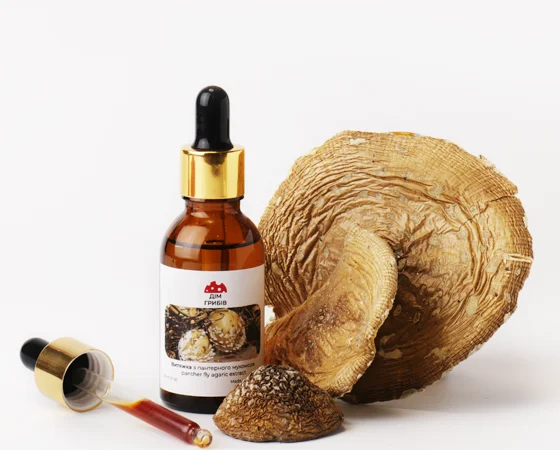 Екстракт мухоморів – натуральний продукт для здоров'я - фото № 1