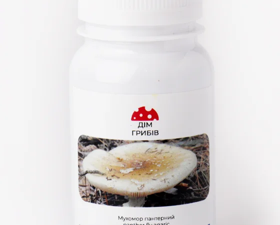 Мухоморы в капсулах – для вашего здоровья - фото № 2